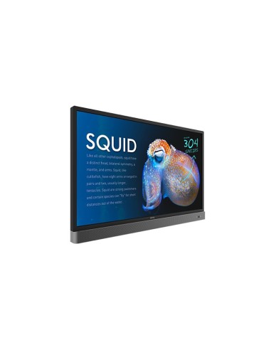 Benq RP553K Pannello piatto interattivo 139,7 cm (55") LED 350 cd m² 4K Ultra HD Nero Touch screen