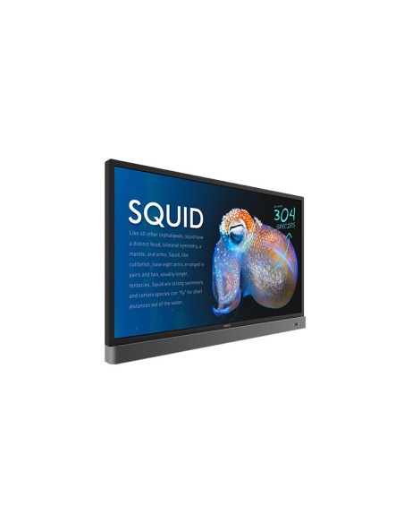 Benq RP553K Pannello piatto interattivo 139,7 cm (55") LED 350 cd m² 4K Ultra HD Nero Touch screen