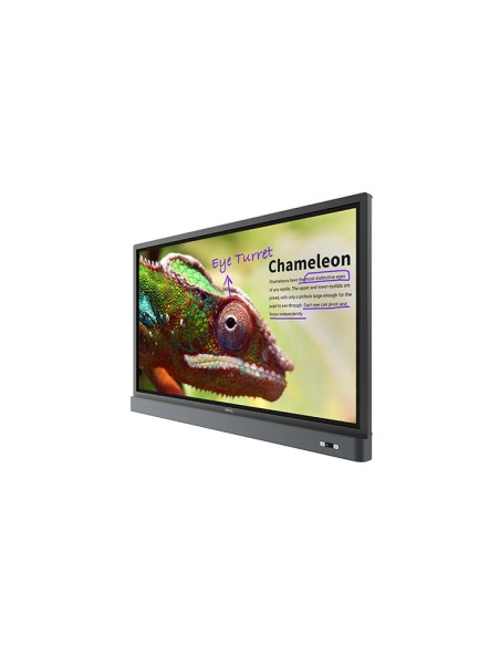 Benq RM5501K 139,7 cm (55") 3840 x 2160 Pixel 4K Ultra HD Touch screen Nero, Grigio
