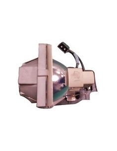 Benq 9E.0C101.011 lampada per proiettore