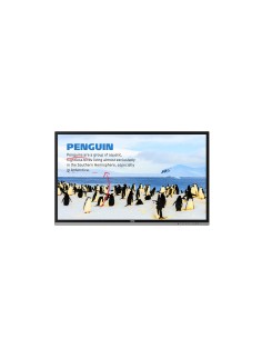 Benq RP552H lavagna interattiva 139,7 cm (55") 1920 x 1080 Pixel Touch screen Nero RF Wireless