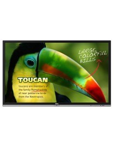 BenQ RP653 lavagna interattiva 165,1 cm (65") 1920 x 1080 Pixel Touch screen Nero RF Wireless