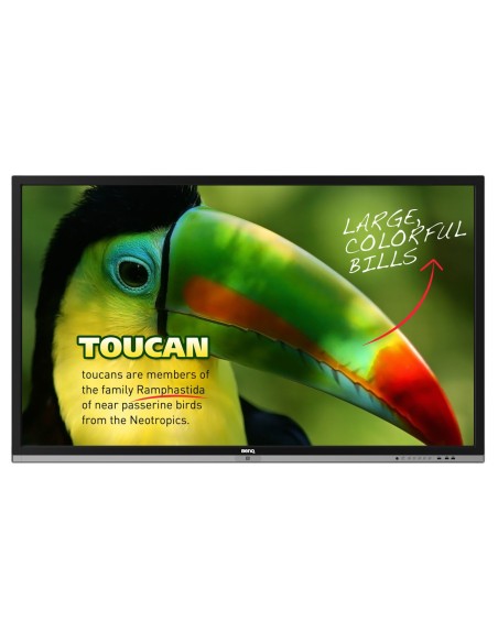 BenQ RP653 lavagna interattiva 165,1 cm (65") 1920 x 1080 Pixel Touch screen Nero RF Wireless