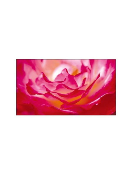 Benq PH550 Pannello piatto per segnaletica digitale 139,7 cm (55") LED 800 cd m² Full HD Nero