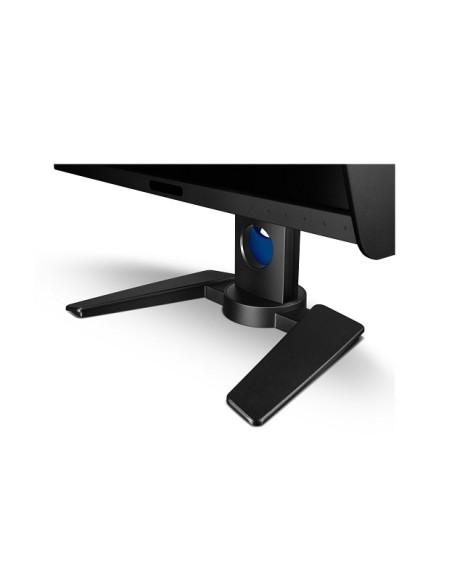 Benq PG2401PT 61,2 cm (24.1") 1920 x 1200 Pixel Full HD LED Nero