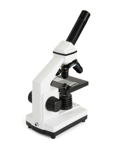 Celestron LABS CM800 800x Microscopio ottico