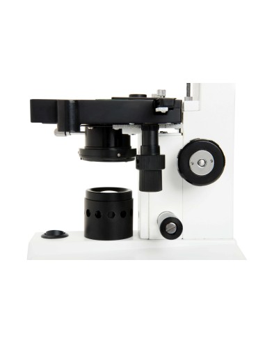 Celestron CM2000CF 2000x Microscopio ottico