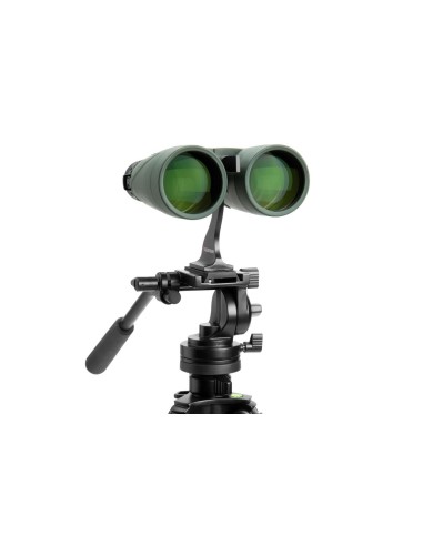 Celestron NATURE DX 12X56 binocolo BaK-4 Verde