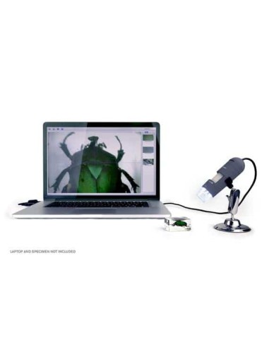 Celestron DELUXE 200x Microscopio digitale