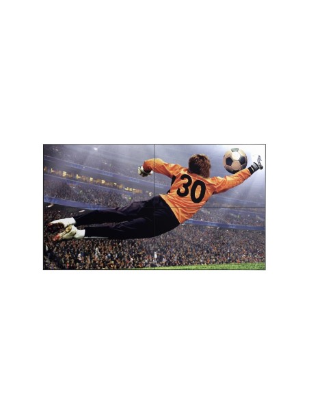 LG 49VL5G-M Interno