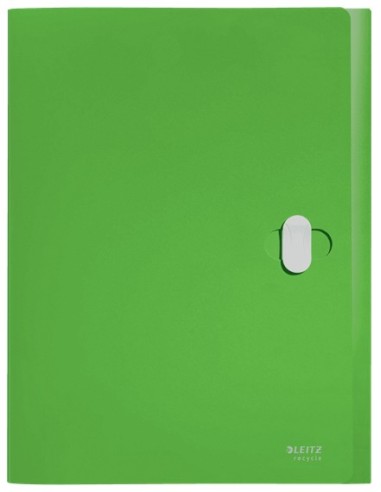 Leitz 46230055 raccoglitore 250 fogli Verde Polipropilene (PP)