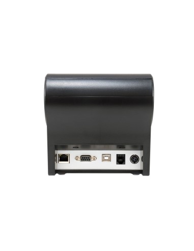 Equip 351003 stampante POS 203 x 203 DPI Cablato Termico