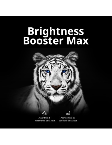 LG OLED evo 55'' Serie G3 OLED55G36LA, TV 4K, 4 HDMI, SMART TV 2023