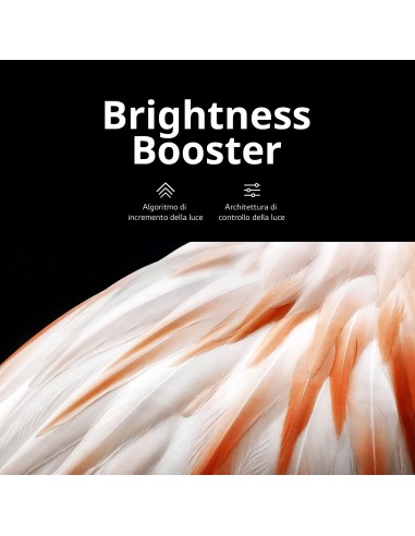 LG OLED evo 55'' Serie C3 OLED55C34LA, TV 4K, 4 HDMI, SMART TV 2023