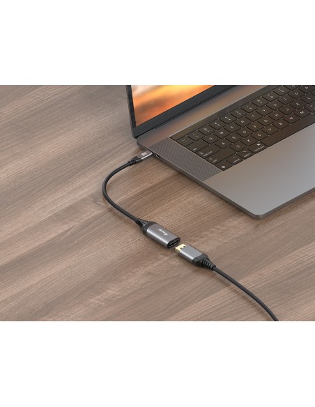 Equip 133493 cavo e adattatore video 0,15 m USB tipo-C DisplayPort Nero, Grigio
