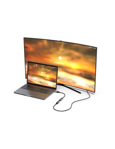 Equip 133446 cavo e adattatore video 0,15 m DisplayPort HDMI Nero, Grigio