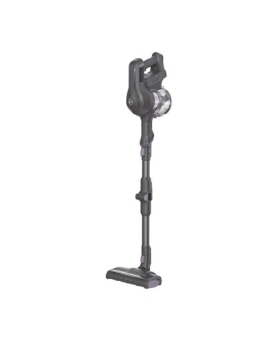 Hoover HF1 HF103X 011 Senza sacchetto 0,9 L 170 W Titanio