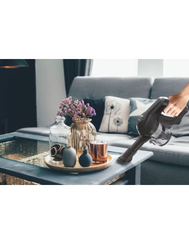 Hoover HF1 HF103X 011 Senza sacchetto 0,9 L 170 W Titanio