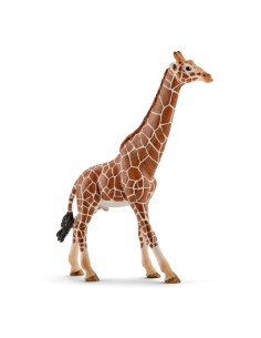 schleich WILD LIFE 14749 action figure giocattolo