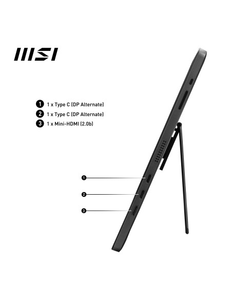MSI Pro MP161 Monitor PC 39,6 cm (15.6") 1920 x 1080 Pixel Full HD LED Nero