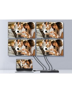 Equip 332717 HDMI 4x HDMI 2