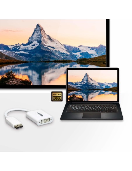 ATEN Adattatore da DisplayPort a DVI