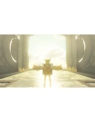 Nintendo The Legend of Zelda  Tears of the Kingdom Standard Nintendo Switch