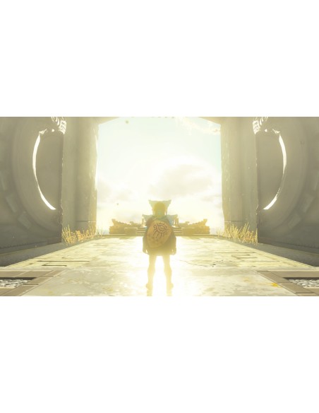 Nintendo The Legend of Zelda  Tears of the Kingdom Standard Nintendo Switch