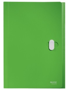 Leitz 46240055 raccoglitore 250 fogli Verde Polipropilene (PP) 2