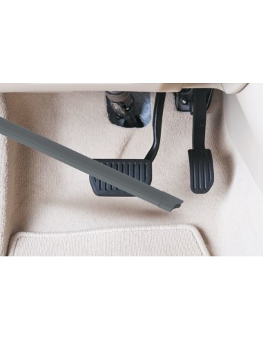 Hoover HF122CAR 011 Senza sacchetto 0,9 L Blu, Titanio