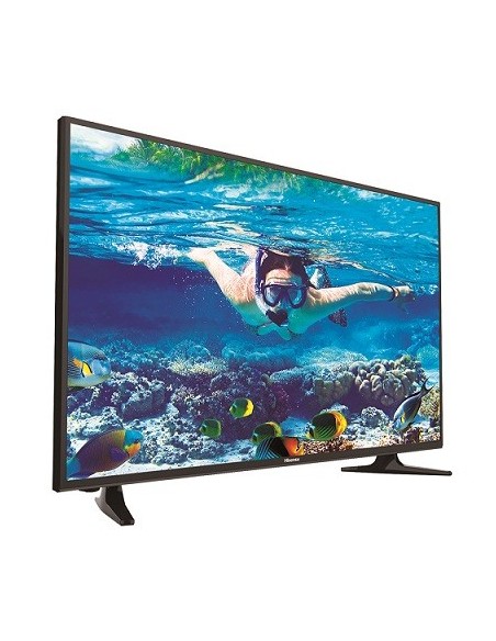 Hisense LTDN40D50TS TV Hospitality 101,6 cm (40") Full HD Nero 14 W