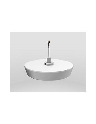 Zyxel IBCACCY-ZZ0102F antenna di rete SMA