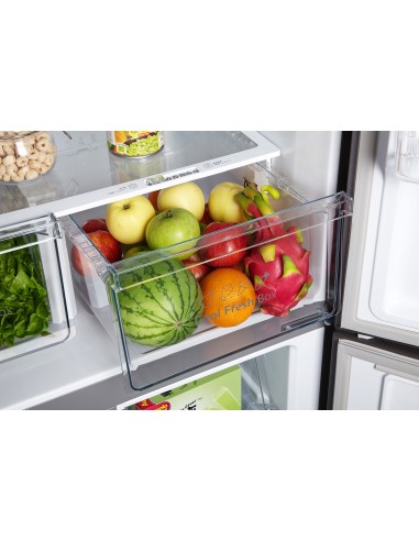 Hisense RQ515N4AD1 frigorifero side-by-side Libera installazione 394 L E Acciaio inossidabile