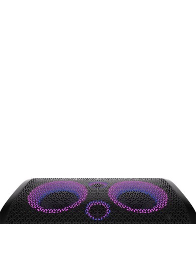 Hisense PartyRocker One HP100 Sistema PA indipendente 300 W Nero, Verde