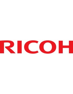 Ricoh 32MB Memody Module