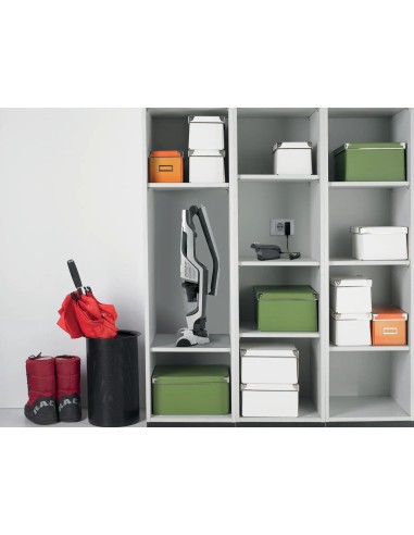 Hisense HVC5232W aspirapolvere senza filo Bianco Senza sacchetto