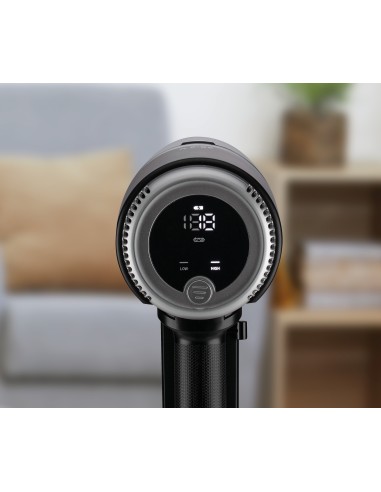 Hisense HVC6264BK aspirapolvere senza filo Nero Senza sacchetto