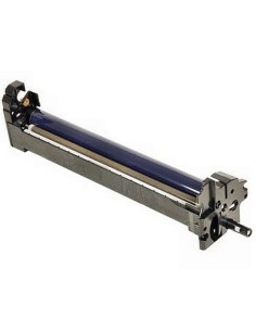 Ricoh D0392040 tamburo per stampante Originale