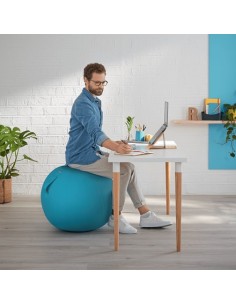 Leitz Ergo Cosy Blu Interno Rotondo 2