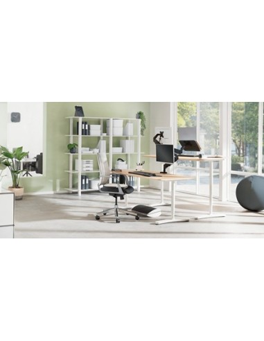 Leitz Ergo Grigio