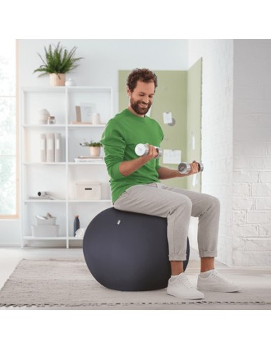 Leitz Ergo Grigio Interno Sfera