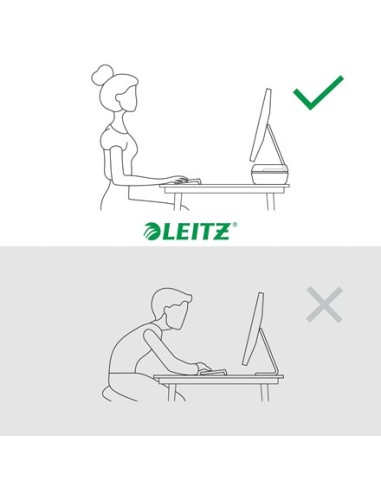 Leitz Ergo Adjustable Monitor Stand 68,6 cm (27") Grigio Scrivania