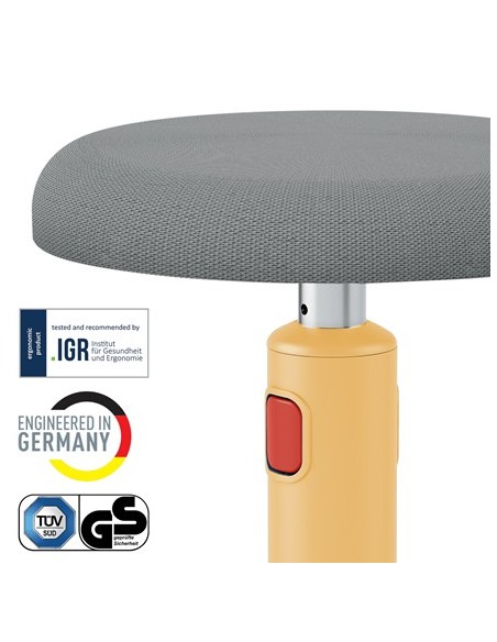 Leitz Ergo Cosy Active Seduta imbottita