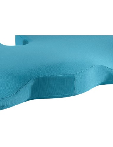 Leitz Ergo Cosy Blu Cuscino da seduta