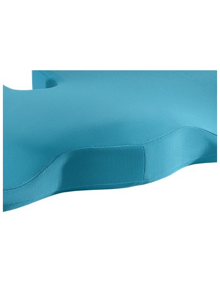 Leitz Ergo Cosy Blu Cuscino da seduta