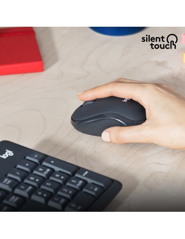 Logitech MK295 Silent Wireless Combo tastiera Mouse incluso USB QWERTY US International Grafite