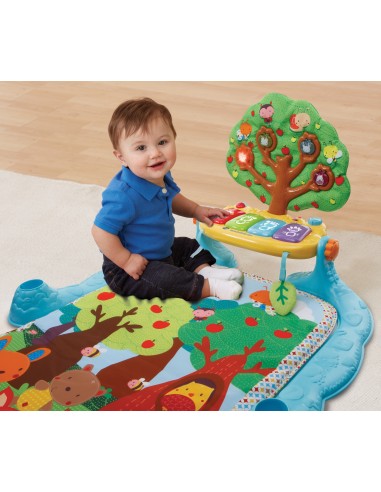 VTech Baby Il giardino incantato