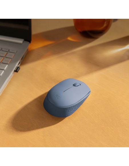 Logitech M171 mouse Ambidestro RF Wireless Ottico