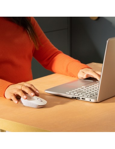 Logitech M171 mouse Ambidestro RF Wireless Ottico