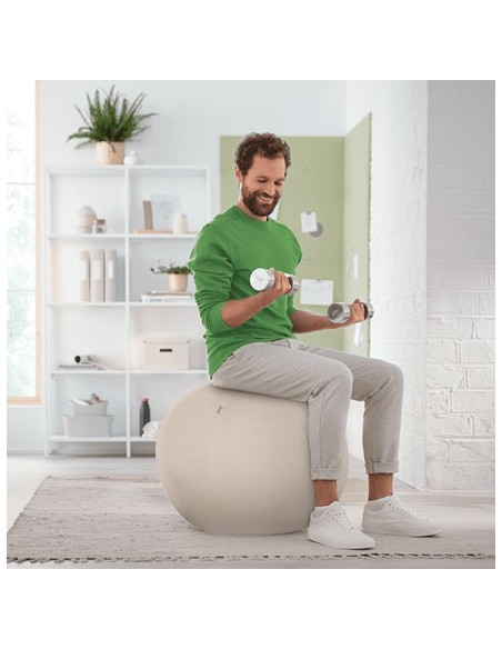 Leitz Ergo Grigio Interno Sfera